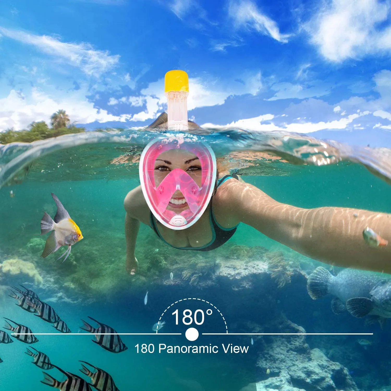 Full Face Snorkel Mask
