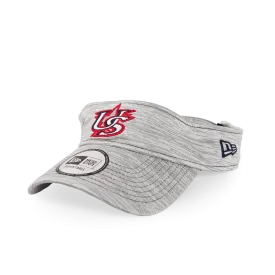Speed Visor